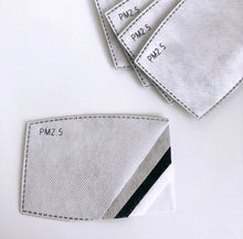 PM2.5 Filter Inserts - 5pcs