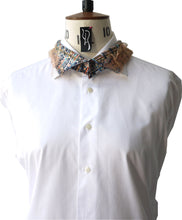 Chestnut Strudel Collar