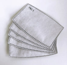 PM2.5 Filter Inserts - 5pcs