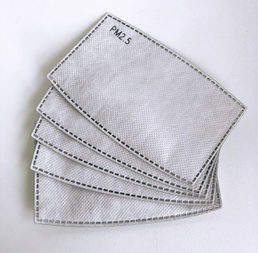 PM2.5 Filter Inserts - 5pcs